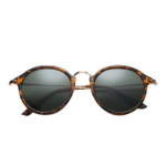 p_5 Acetate Frame Sunglasses